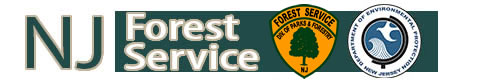 NJ State Forestry Services Logo