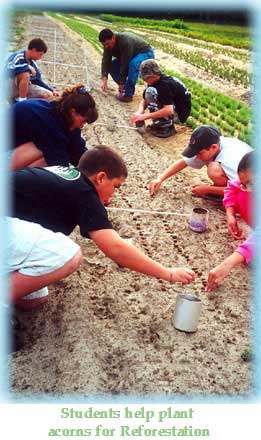 Students help plant acorns for Reforestation.