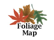 Fall Foliage Map